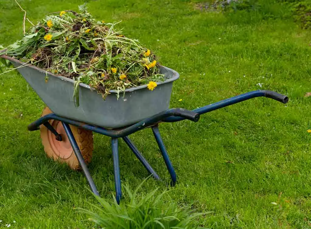 Haveaffald bortskaffelse